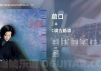 藉口吉他谱,王菲歌曲,C调高清图,4张六线原版简谱