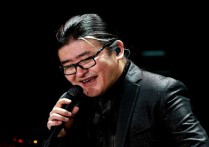 凤凰于飞吉他谱,原版刘欢歌曲,简单G调弹唱教学,有谱么版六线指弹简谱图