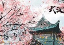 武汉伢吉他谱,原版佚名歌曲,简单C调指弹曲谱,高清六线乐谱