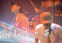 我是一只鱼吉他谱,选用C调弹唱谱教学简谱,落日飞车,任贤齐六线六线谱图片