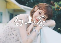 白山茶吉他谱,原版陈雪凝歌曲,简单_TX弹唱教学,网络转载版六线指弹简谱图