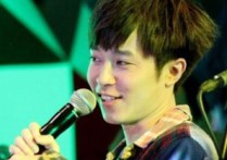 蜂鸟吉他谱,原版吴青峰歌曲,简单G调指弹曲谱,高清六线乐谱