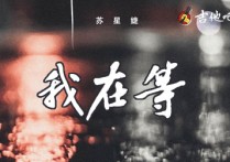 苏星婕《我在等·2022》吉他谱,苏星婕歌曲,原调高清图,革命吉他
                                六线简谱
