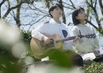 我可以吉他谱,原版房东的猫歌曲,简单C调指弹曲谱,高清六线乐谱