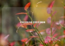 匹克吉他介绍-吉他学习指南