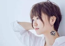 茶酒伴吉他谱,原版谢春花歌曲,简单C调弹唱教学,吉他大本营版六线指弹简谱图