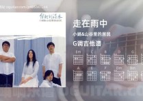 走在雨中吉他谱,小娟&山谷里的居民歌曲,G调高清图,5张六线原版简谱