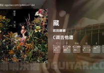藏吉他谱,欧阳娜娜歌曲,C调高清图,4张六线原版简谱