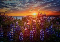 LawOfTheWest指弹谱原调六线谱_豆丁编配_Recycled-吉他室LawOfTheWest吉他谱,原版Recycled歌曲,简单吉他弹唱教学,豆丁版六线指弹简谱图