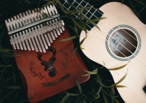 风之国度吉他谱,入门E调,风行吉他音乐工作室编配,黄家伟版