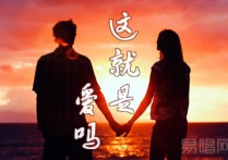 这就是爱吗指弹谱-容,教学简谱,容祖儿/林俊杰吉他独六线谱图片