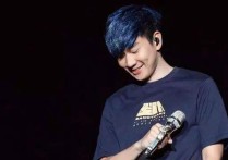 那些你很冒险的梦吉他谱,原版林俊杰歌曲,简单D调弹唱教学,华轩音乐版六线指弹简谱图