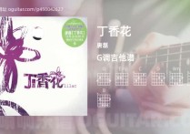 丁香花吉他谱,唐磊歌曲,G调高清图,5张六线原版简谱