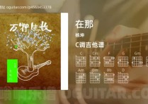 在那吉他谱,杨坤歌曲,C调高清图,5张六线原版简谱