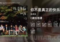 你不是真正的快乐吉他谱,五月天歌曲,C调高清图,4张六线原版简谱
