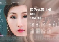 因为你爱上他吉他谱,蒋雪儿歌曲,C调高清图,4张六线原版简谱
