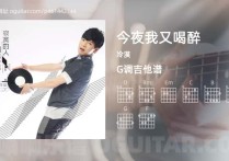 今夜我又喝醉吉他谱,冷漠歌曲,G调高清图,4张六线原版简谱