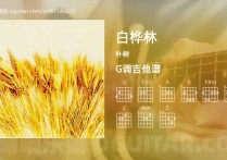白桦林吉他谱,朴树歌曲,G调高清图,4张六线原版简谱