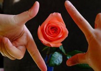 送你一朵小红花吉他谱,原版赵英俊歌曲,简单指弹曲谱,高清六线乐谱