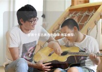 世界十大古典吉他品牌(独家推荐)