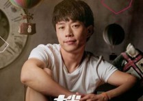 理想吉他谱,赵雷歌曲,G调指弹简谱,新手弹唱附演示