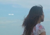 夏天的风吉他谱,原版温岚歌曲,简单C调指弹曲谱,高清六线乐谱