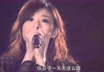 被动吉他谱,苏慧伦歌曲,C调高清弹唱视频教学,附2张弹指六线简谱