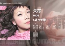 失踪吉他谱,林忆莲歌曲,C调高清图,3张六线原版简谱