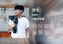 浮生吉他谱,徐海俏歌曲,C调高清图,6张六线原版简谱