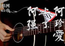 阿珍爱上了阿强吉他谱,仁科歌曲,C调简单指弹教学简谱,山山吉他六线谱图片