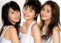 爱来过吉他谱,S.H.E歌曲,D调指弹简谱,新手弹唱女生版