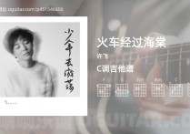 火车经过海棠吉他谱,许飞歌曲,C调高清图,4张六线原版简谱