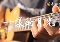徐佳莹《一样的月光》,徐佳莹歌曲,简单指弹教学简谱,革命吉他六线谱图片