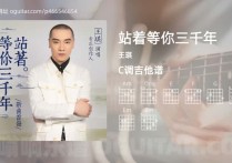 站着等你三千年吉他谱,王琪歌曲,C调高清图,7张六线原版简谱