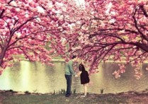 樱花树下的约定吉他谱,佚名歌曲,简单指弹教学简谱,网络六线谱图片