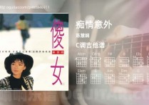 痴情意外吉他谱,陈慧娴歌曲,C调高清图,3张六线原版简谱