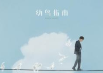 城市傍晚吉他谱,原版毛不易歌曲,简单C调弹唱教学,吉他专家版六线指弹简谱图