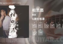 相思酒吉他谱,易欣歌曲,G调指弹简谱,4张教学六线谱