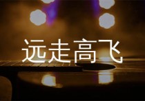 远走高飞吉他谱,金志文歌曲,C调简单指弹教学简谱,唯音悦版六线谱图片