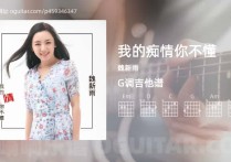 我的痴情你不懂吉他谱,魏新雨歌曲,G调高清图,4张六线原版简谱