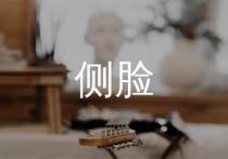 侧脸吉他谱,于果歌曲,C调简单指弹教学简谱,吉他专家版六线谱图片