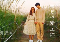 名决/抖音二郎我已经爱上你吉他谱,简单五张原版指弹曲谱,抖音二郎高清六线乐谱