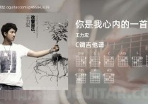 你是我心内的一首歌吉他谱,王力宏歌曲,C调指弹简谱,3张教学六线谱