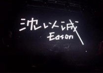 别看我只是一只羊吉他谱,原版沈以诚歌曲,简单C调指弹曲谱,高清六线乐谱