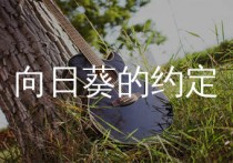 向日葵的约定吉他谱,秦基博歌曲,F调简单指弹教学简谱,捷诚吉他教室版六线谱图片