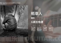 稻草人吉他谱,暗杠歌曲,G调高清图,5张六线原版简谱