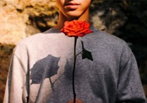 玫瑰少年吉他谱,原版蔡依林歌曲,简单C调指弹曲谱,高清六线乐谱