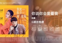 你说你会爱着我吉他谱,赵鑫歌曲,G调高清图,5张六线原版简谱