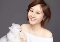 冥光吉他谱,王佳妮歌曲,G调指弹简谱,新手弹唱高清版