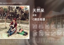 天然呆吉他谱,后弦歌曲,C调高清图,4张六线原版简谱